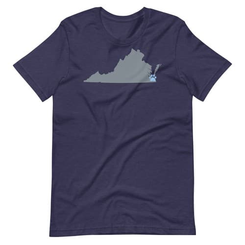 Old Dominion Monarchs Shirt, Norfolk, Football Shirt, Virginia Shirt — old-dominion fan gear