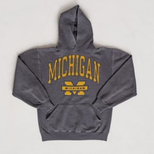 Vintage 90s Michigan University College Varsity T- Shirt, Sweatshirt & Hoodie — michigan fan gear