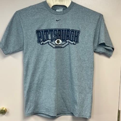 Nike Team Pittsburgh Panthers Football T-Shirt Mens Large Gray Big East Pitt Tee — pittsburgh fan gear